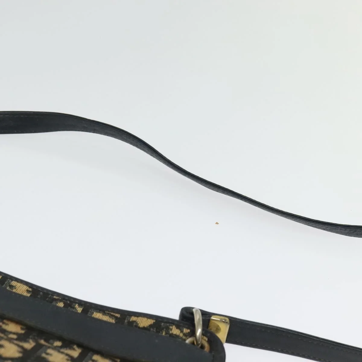 Christian Dior Vintage Trotter Crossbody Bag Canvas - Image 12