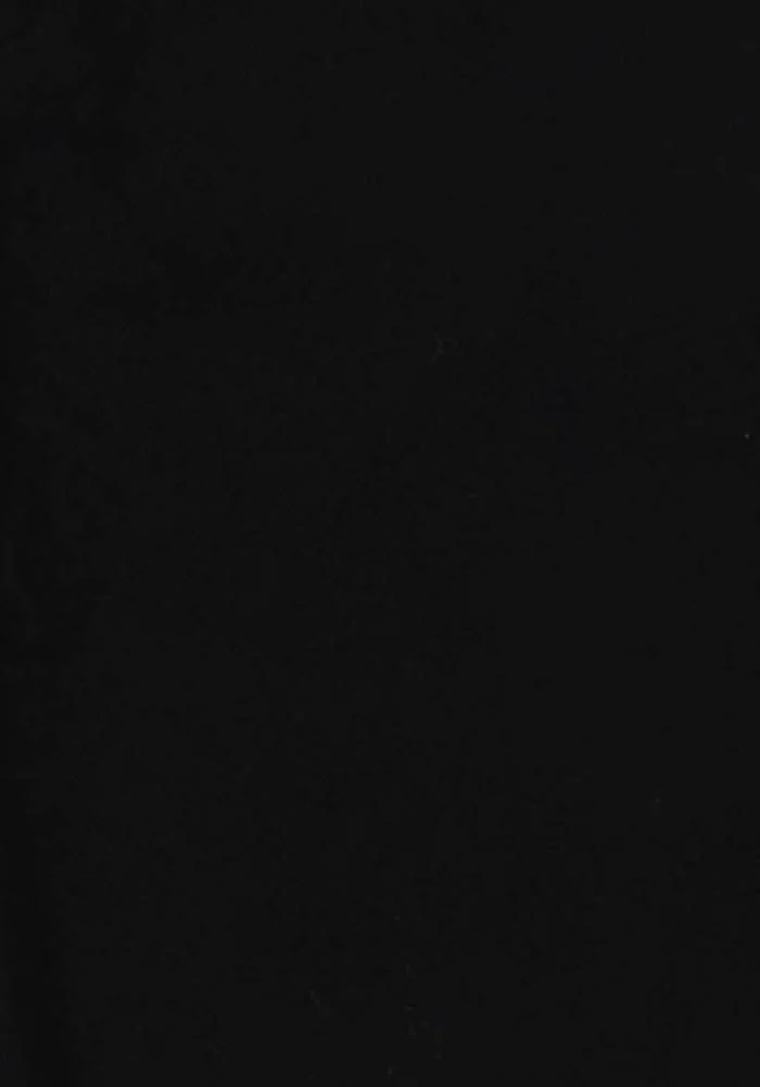 Jupe Crayon Noire - Taille L/40 - Image 3
